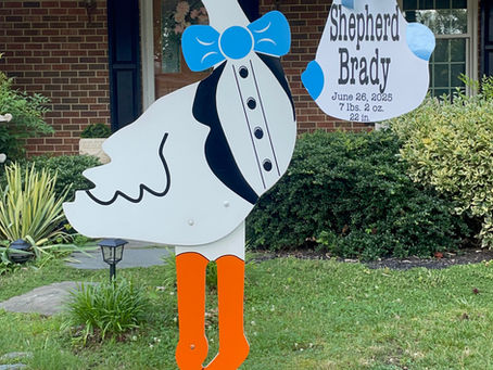 Baby Stork MD Birth Announcement (240)863-2873
