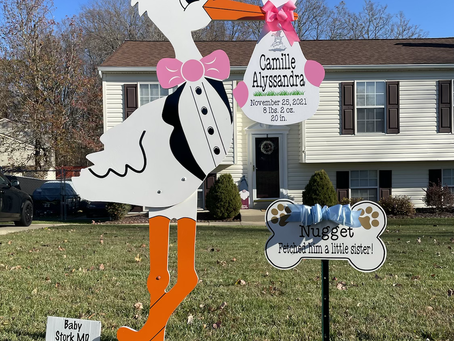 Baby Stork MD (240)863-2873 ~ A Welcome Yard Sign For Baby And Dog Sibling ~ Maryland