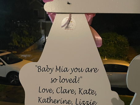 Baby Stork MD (240)873-2873 ~ Gift Signature Message ~ Bethesda Maryland