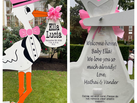 Baby Stork MD (240)863-2873 ~Baby Birth Announcement ~ Georgetown Washington DC