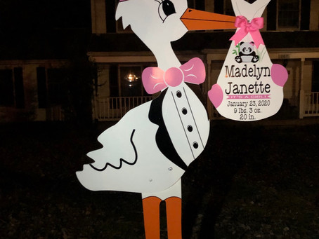 Baby Stork MD (240)863-2873 ~ Panda Birth Announcement ~ Accokeek, Maryland