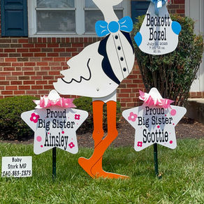 Baby Stork MD (240)863-2873