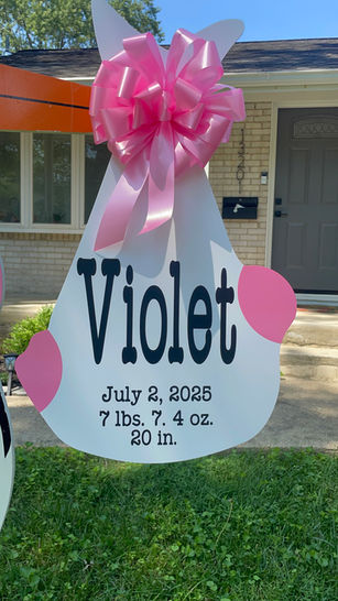 Baby Stork MD Stork Rental Signs For Newborn Babies (240)863-2873