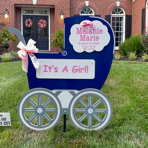 Baby Stork MD (240)863-2873 ~ Luxury Carriage Birth Announcement