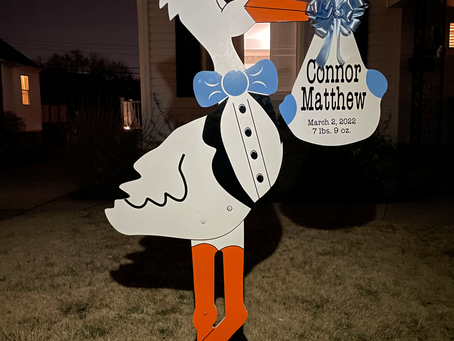 Baby Stork MD (240)863-2873 ~ Stork Delivery ~ Maryland