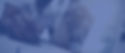 shutterstock_308859074_edited.jpg