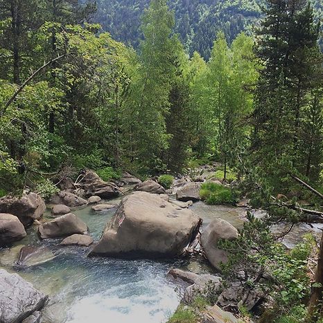 nature(1).jpg