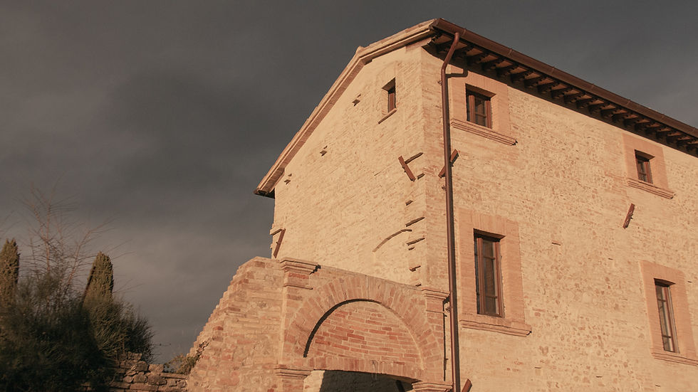 Casa M