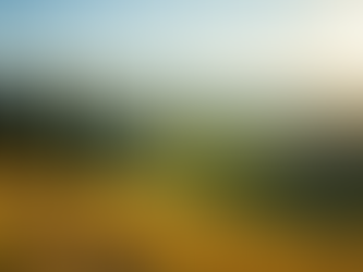 Road Tripping Through Tuscany: A Journey of Charm and Discovery