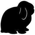 lop_edited.jpg