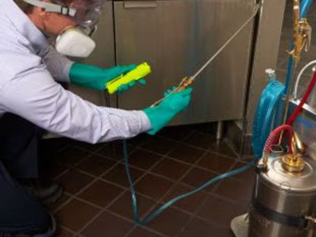 🕷️ ¿Por qué se deben hacer 3 fumigaciones para eliminar las garrapatas?