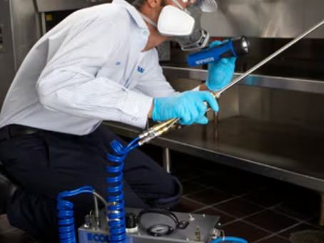 Estamos de Vuelta en la Ciudad de México: Renaciendo Después de Tiempos Difíciles