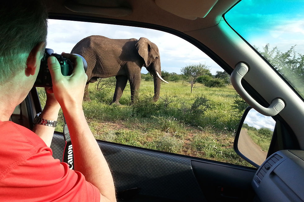 Makutsi Safari Lodge