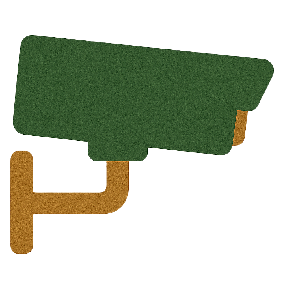 24_7 Security Cameras.png