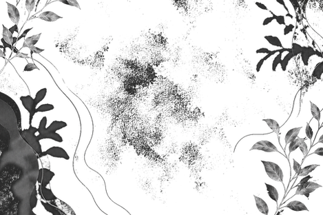 overlay.png