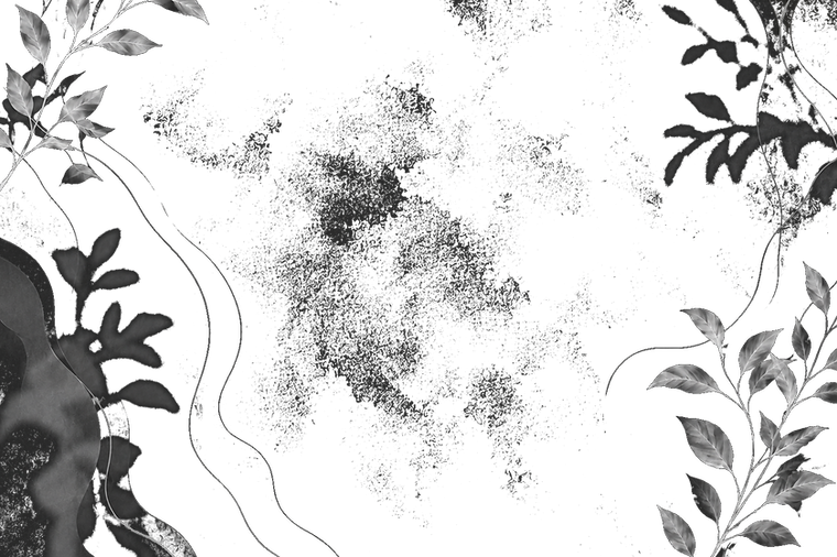 overlay.png