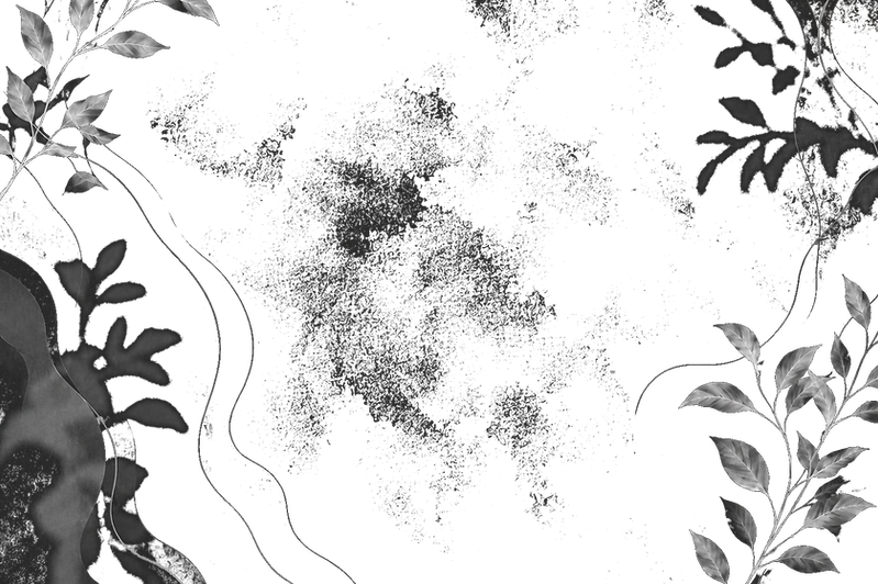 overlay.png