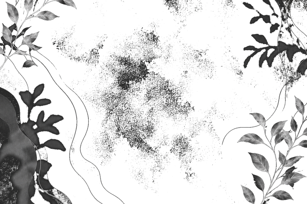 overlay.png