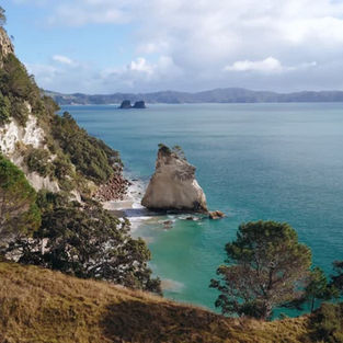 Japan and New Zealand Are Building a Pacific Hydrogen Corridor — And It Could Reshape Asia-Pacific Energy Trade