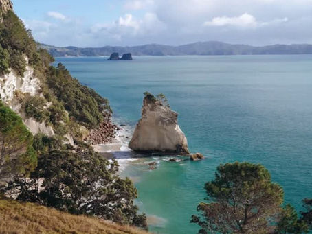 Japan and New Zealand Are Building a Pacific Hydrogen Corridor — And It Could Reshape Asia-Pacific Energy Trade