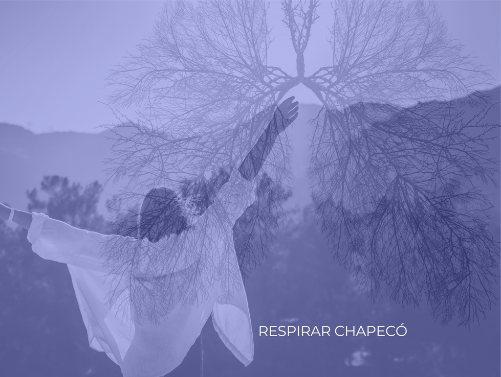 Respirar Brand Design.pdf-4