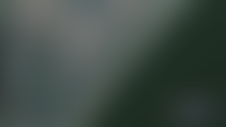 Сбрасывавшее отходы у берегов Камчатки судно нашли с помощью спутника