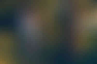 a man and a woman are standing under a tree