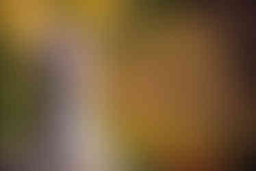 a bride and groom are posing for a picture in the woods