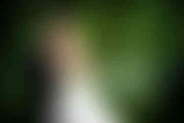 a bride and groom are posing for a picture in the woods