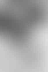 two brides enjoying a moment