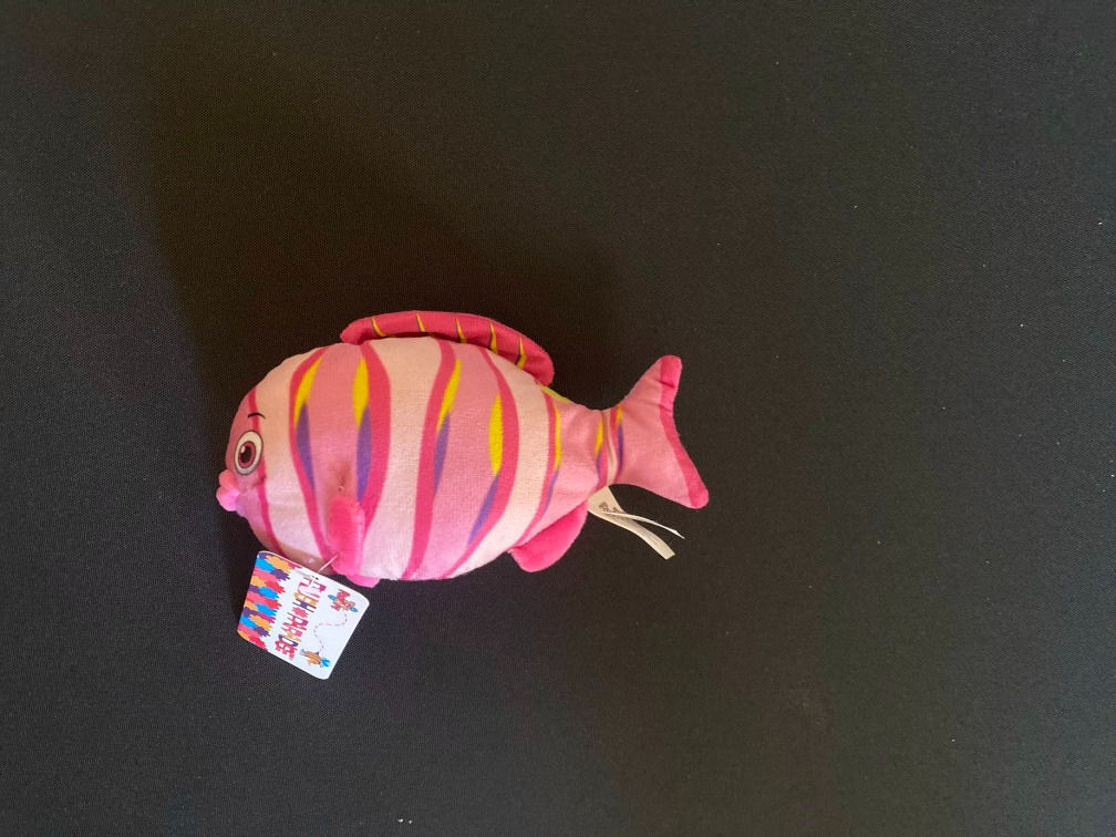 Pink Fish