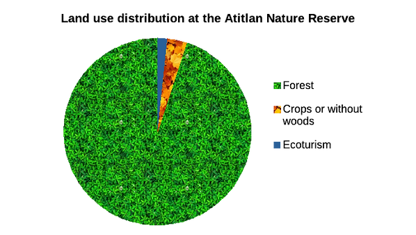 Land use distribution.png