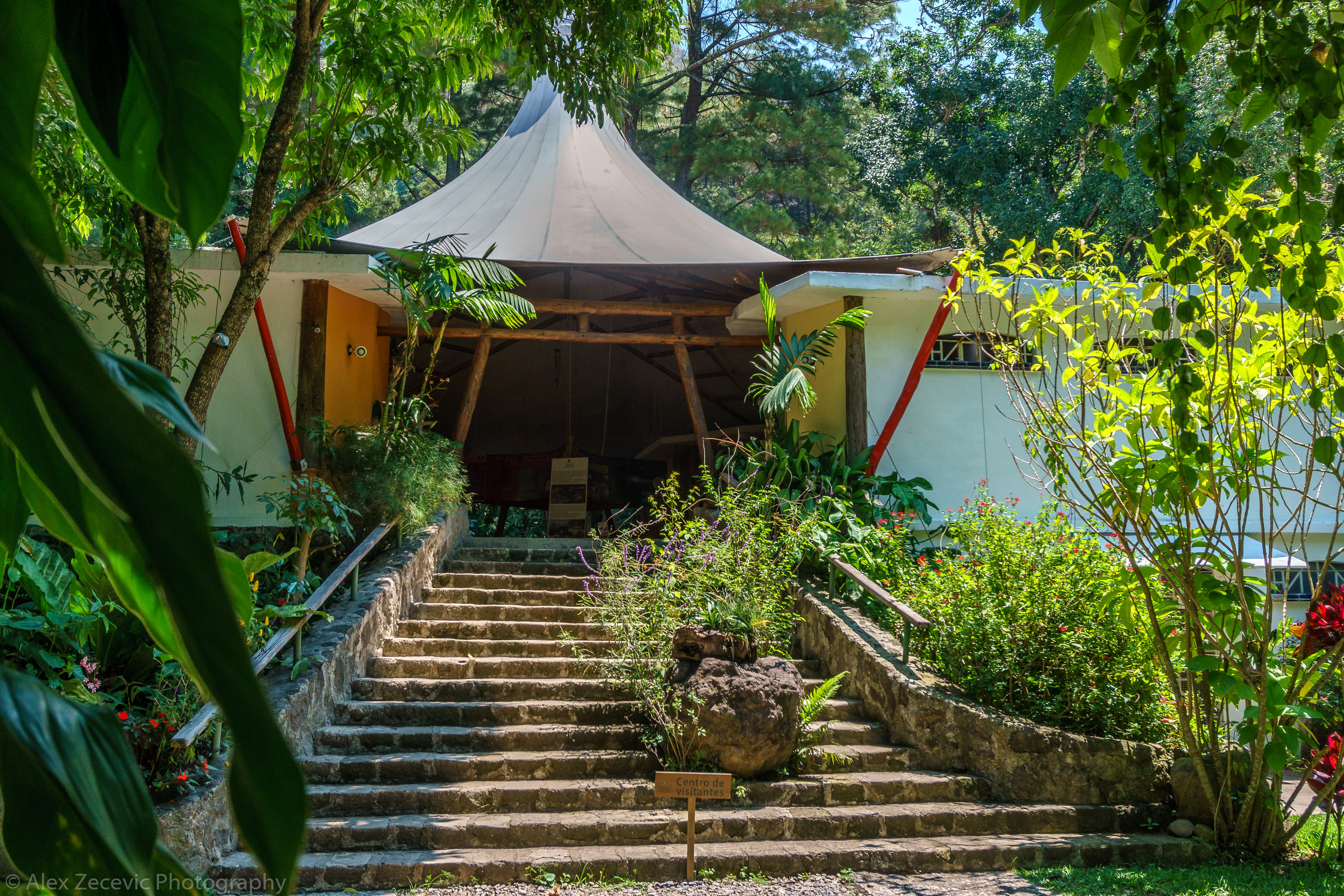 Visitor Center Nature Reserve