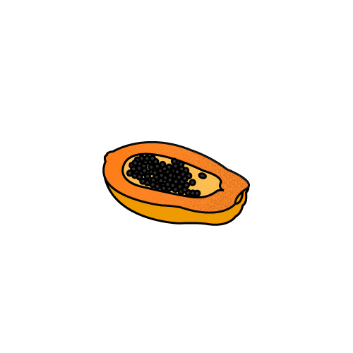 6.gif