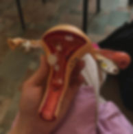 82e7b4f9141ecc44073a0361a1d037fd_edited_