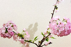 IMG_0353_edited.jpg
