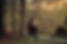 hted1.jpg