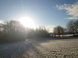 164766007-545871053066847-8187263138811062334-n