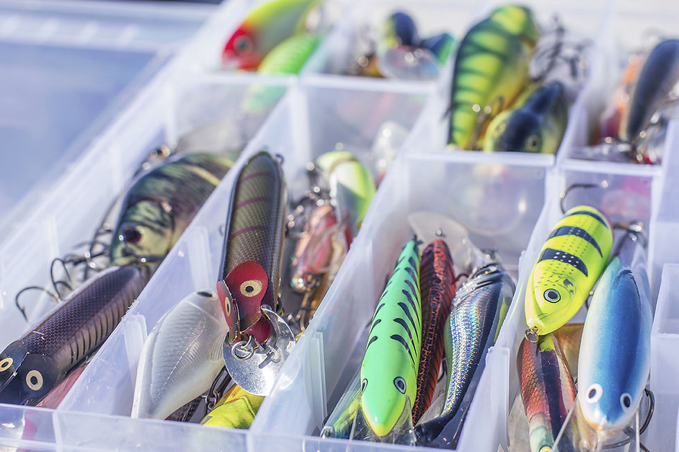Colorful Fishing Lures