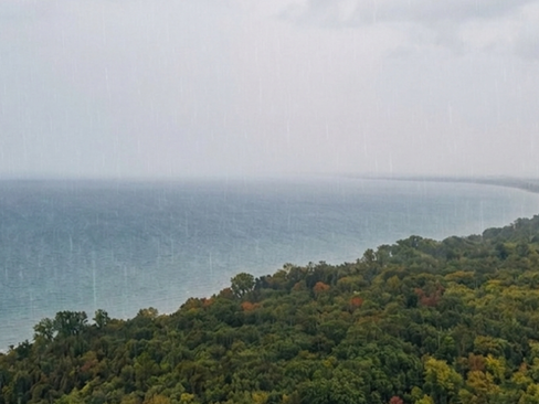 Rainy coastal landscape with a curving blue lake or bay beside dense green forest under a pale gray sky, calm and misty.