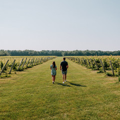 A couple walks through a vineyard on a sunny day. Green vines line both sides, with a clear blue sky above, creating a tranquil setting.