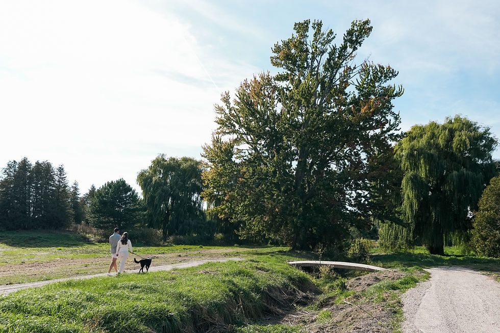 Couple walking a black dog on a sunny path in a park with lush green trees. The mood is peaceful and serene.