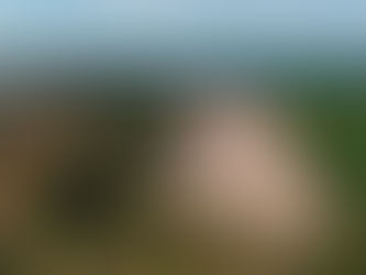 Aerial view of a construction site with winding roads beside lush greenery and fields, under a blue sky with a distant ocean horizon.