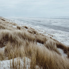 Snow covered grassy dunes on a beach by a lake. Ice covered beach and water in the background.