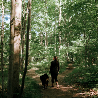 A woman in black, walking with a black dog on a sunlit forest trail. Green leafy trees create a peaceful and natural setting.