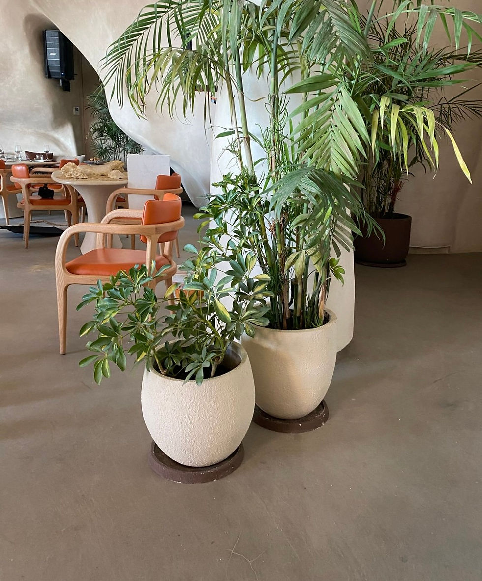 Thumbnail: Fiberglass Planter 40cm