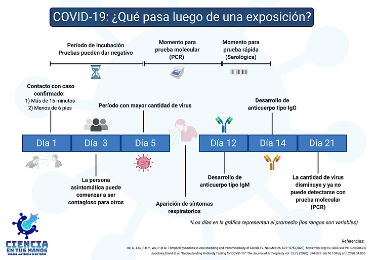 Timeline (Checkpoints) (13).png