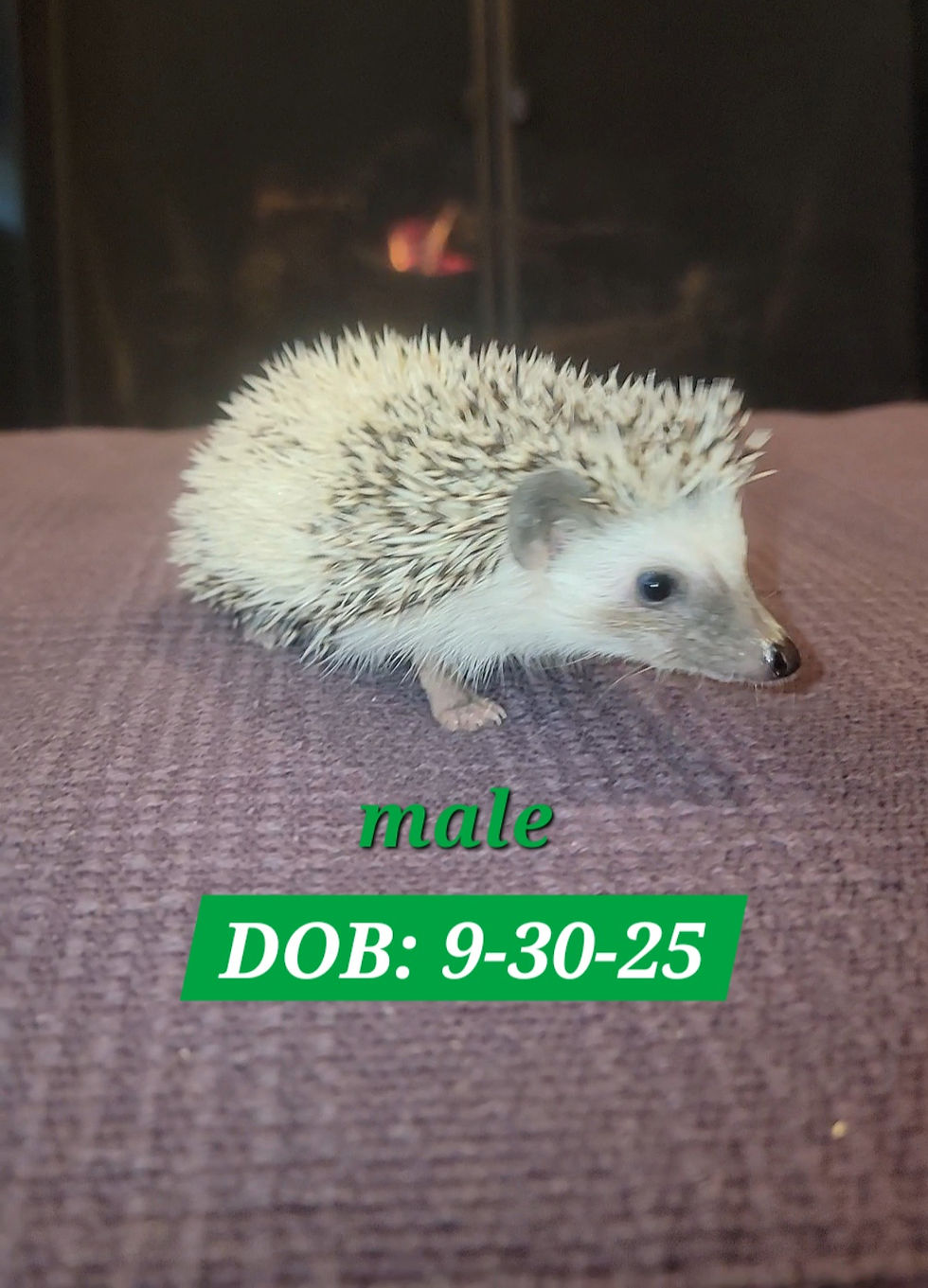 20251115_133832(1)(1)_edited