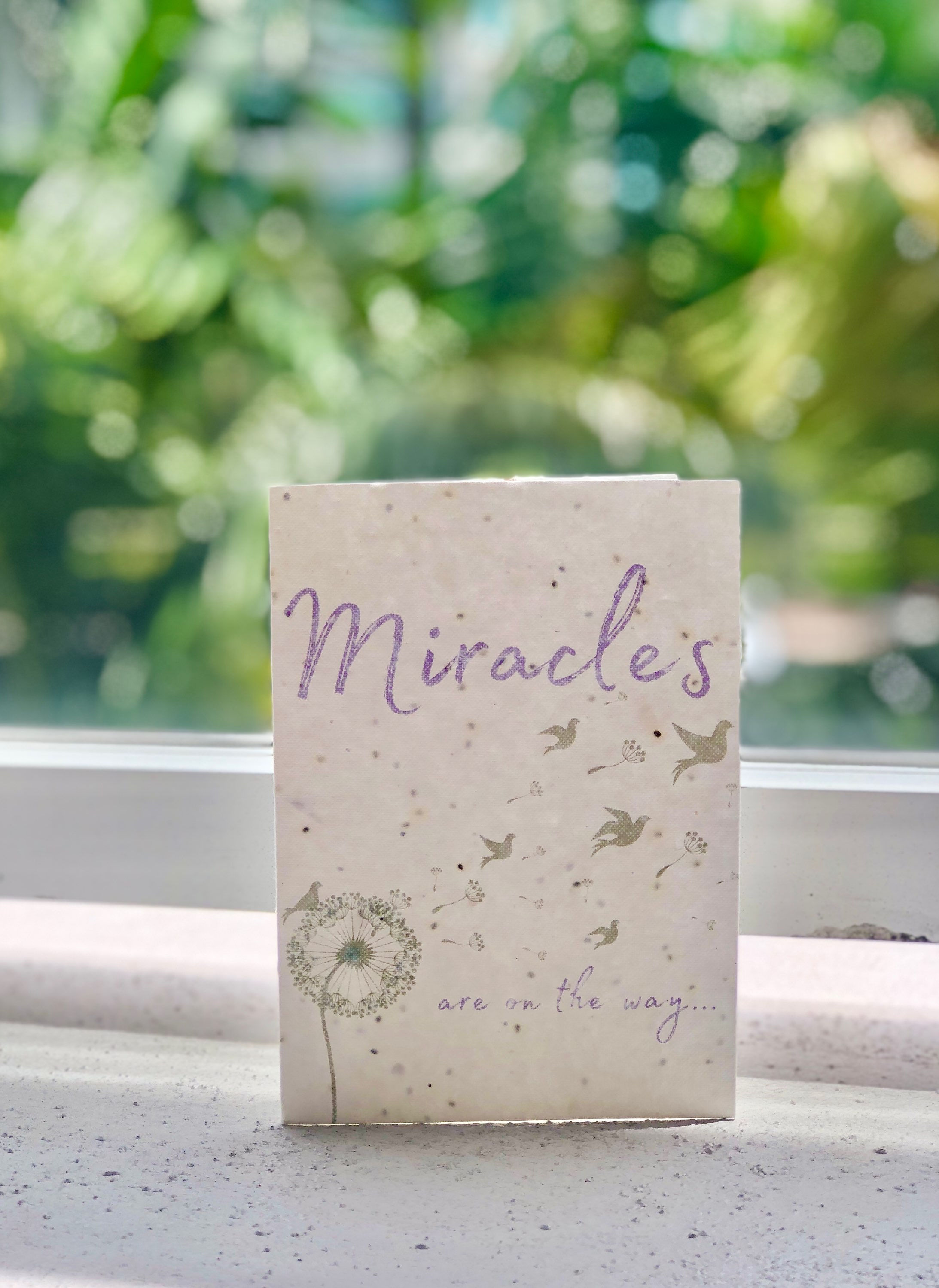Miracles Plantable Card