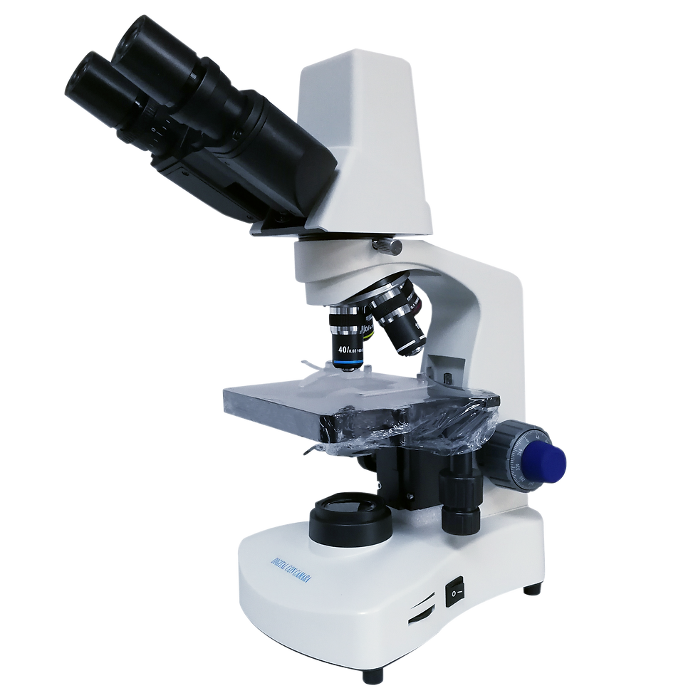 microscopio binocular digital